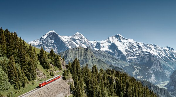Ontdek de Schynige Platte 