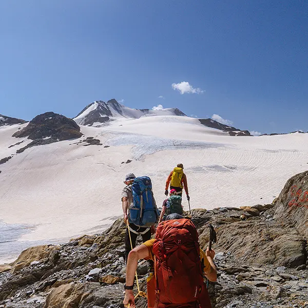 Vier wandelaars met rugzakken en wandelstokken beklimmen onder een strakblauwe hemel een rotsachtig pad richting besneeuwde bergen.
