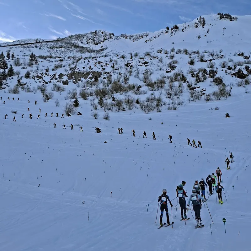 Een grote groep langlaufers neemt deel aan een wedstrijd in een besneeuwd berglandschap; de deelnemers trekken in een enkele rij bergopwaarts onder een grotendeels heldere hemel.