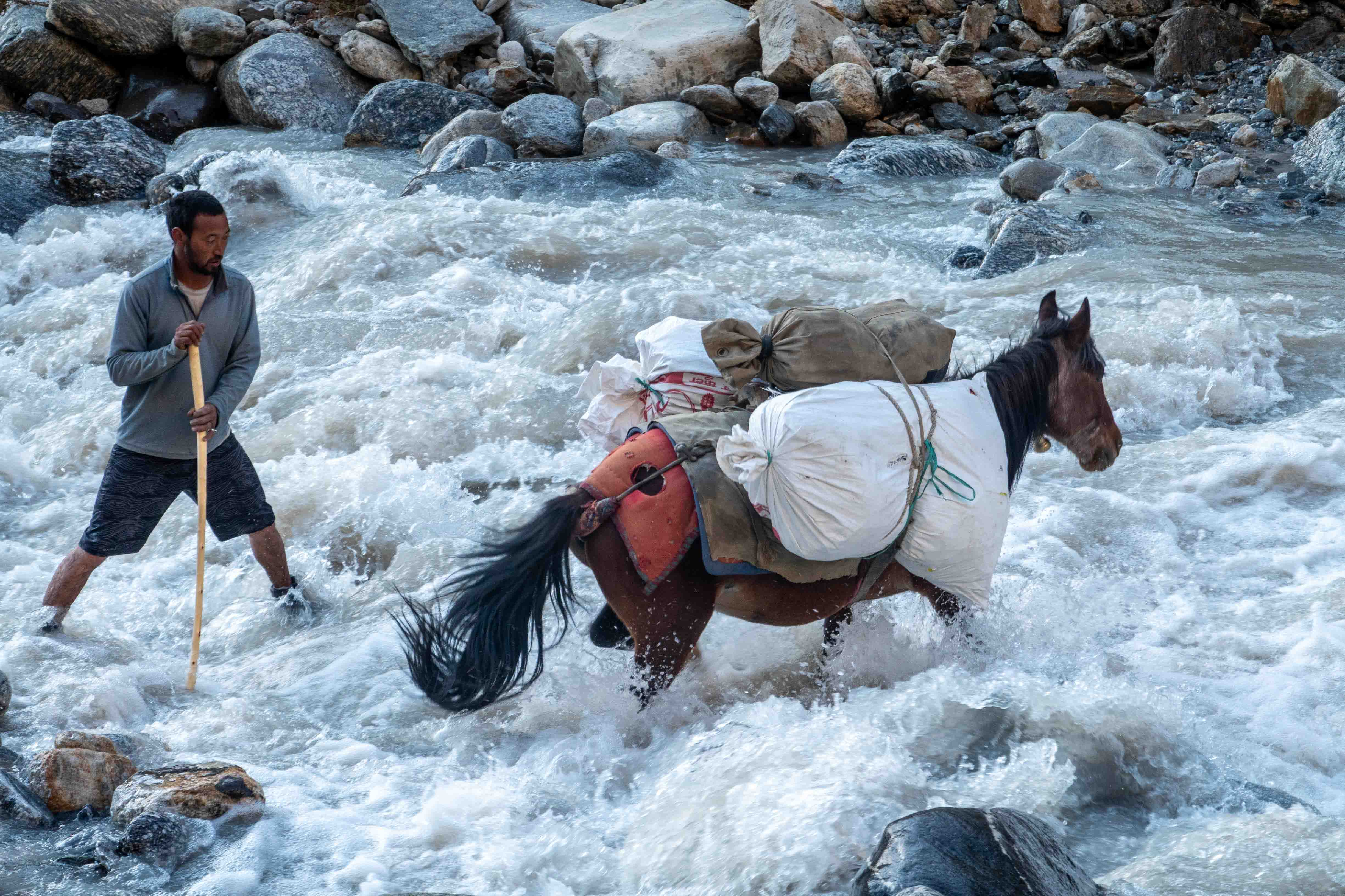 Zanskar India Expeditie